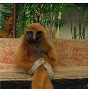 Meet your Posher, April